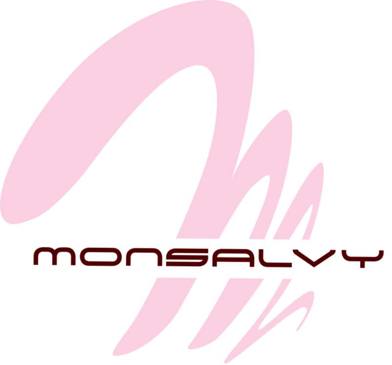 http://www.monsalvy.com/